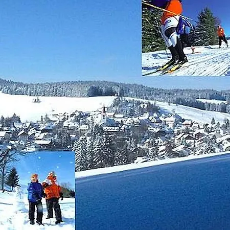 아파트 Appartmentvermietung Terrassenpark Schonach Schonach im Schwarzwald