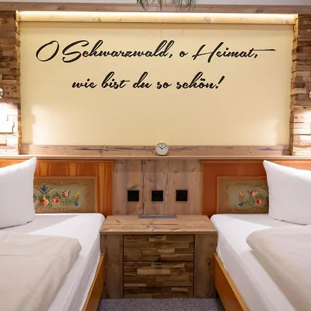 Appartmentvermietung Terrassenpark Schonach Schonach im Schwarzwald