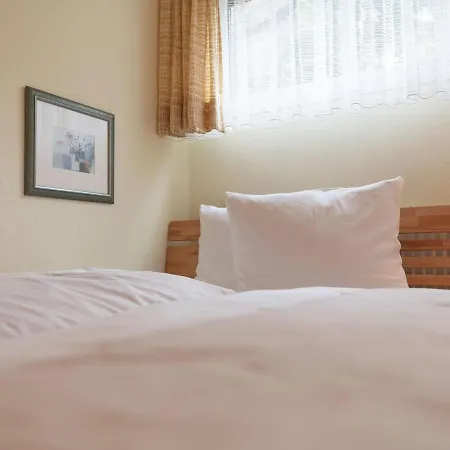 Apartment Appartmentvermietung Terrassenpark Schonach