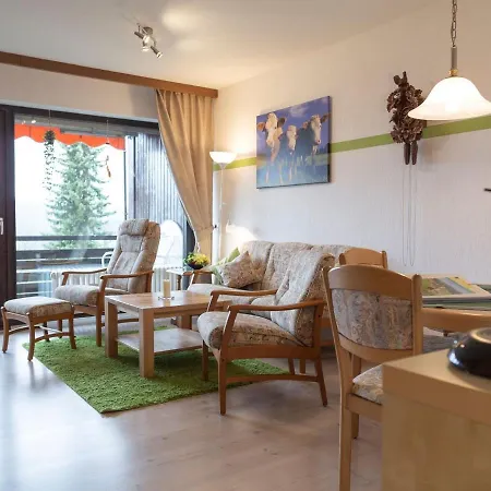 Appartmentvermietung Terrassenpark Schonach 아파트 Schonach im Schwarzwald
